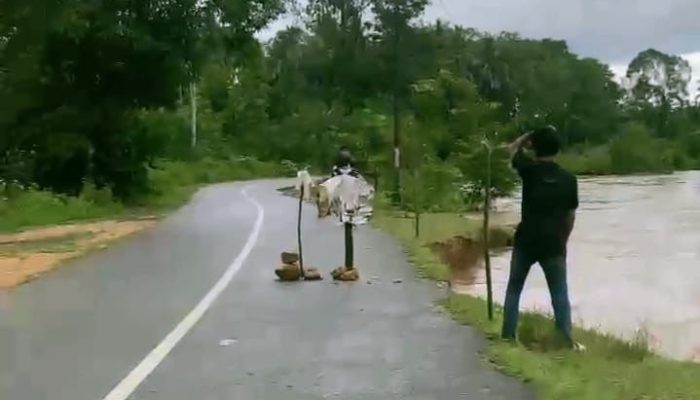 Jalan Poros Lampeapi-Bobolio Nyaris Putus Diterjang Banjir, Pengendara Diimbau Hati-hati