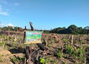 Warga Desa Puurau Konkep Laporkan Dugaan Pengrusakan Kawasan Hutan Ke Dishut Sultra