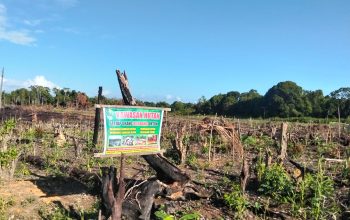 Warga Desa Puurau Konkep Laporkan Dugaan Pengrusakan Kawasan Hutan Ke Dishut Sultra