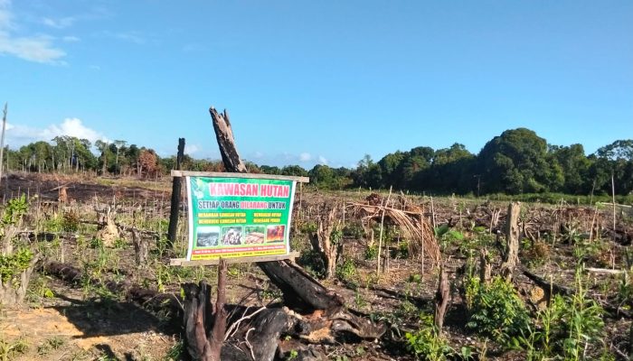 Warga Desa Puurau Konkep Laporkan Dugaan Pengrusakan Kawasan Hutan Ke Dishut Sultra