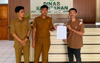 PMK Sultra Laporkan Dugaan Pengrusakan Kawasan Hutan di Desa Lampeapi Baru ke Dishut Sultra