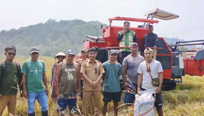 Komitmen Wujudkan Swasembada Pangan, Pemkab Konkep Fasilitasi Petani dengan Alat Panen